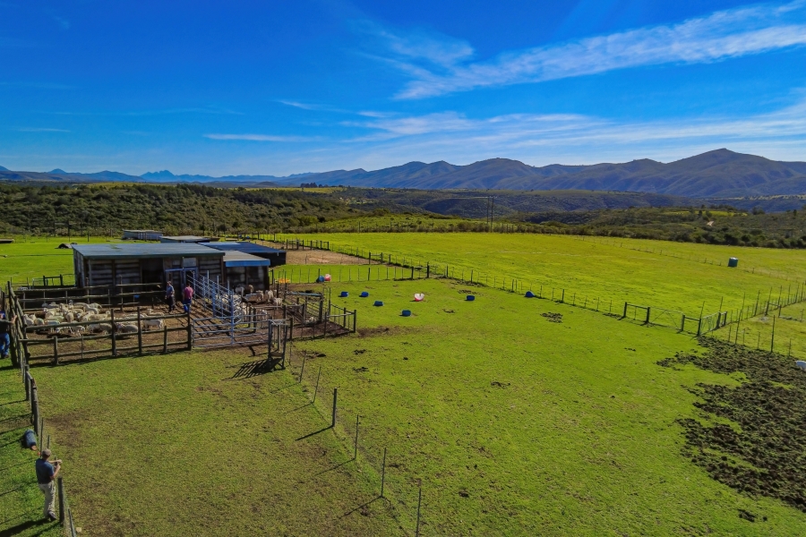 5 Bedroom Property for Sale in Elandsrivier Eastern Cape